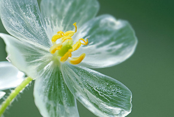 f:id:mottokoikoi:20181012144359p:plain