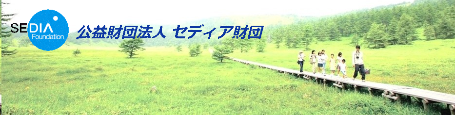 f:id:mottokoikoi:20190213172112p:plain f:id:mottokoikoi:20190213172112p:plain