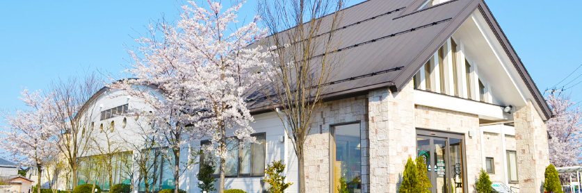 f:id:mottokoikoi:20190729112039p:plain f:id:mottokoikoi:20190729112039p:plain