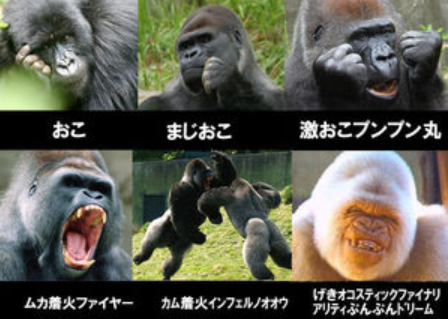 f:id:mottokoikoi:20200110204800p:plain f:id:mottokoikoi:20200110204800p:plain