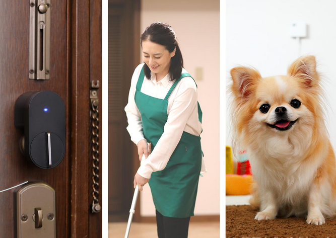 f:id:mottokoikoi:20200326162153p:plain