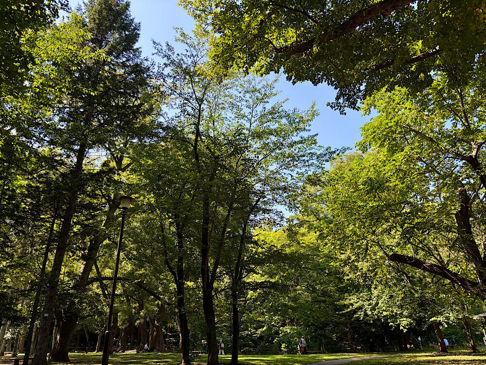 円山公園