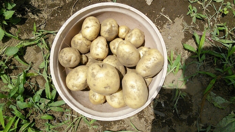 20170626165547670.jpg