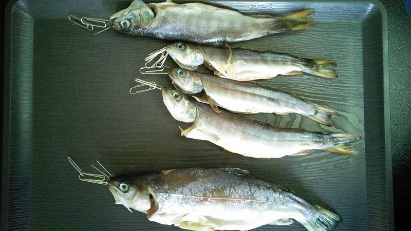 20180610163311ffa.jpg
