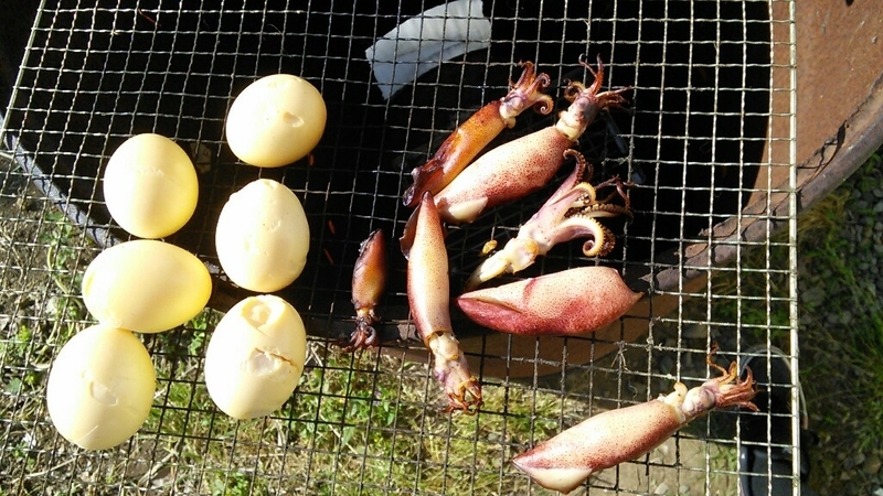 2018061016332053f.jpg