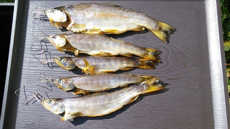 20180610163322e90.jpg