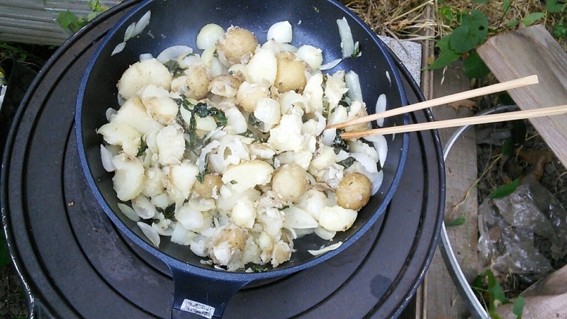 201806161914367c9.jpg