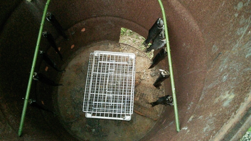 201807210933262dd.jpg