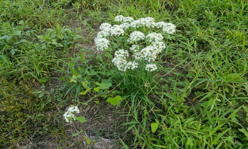 20180916191722ab2.jpg