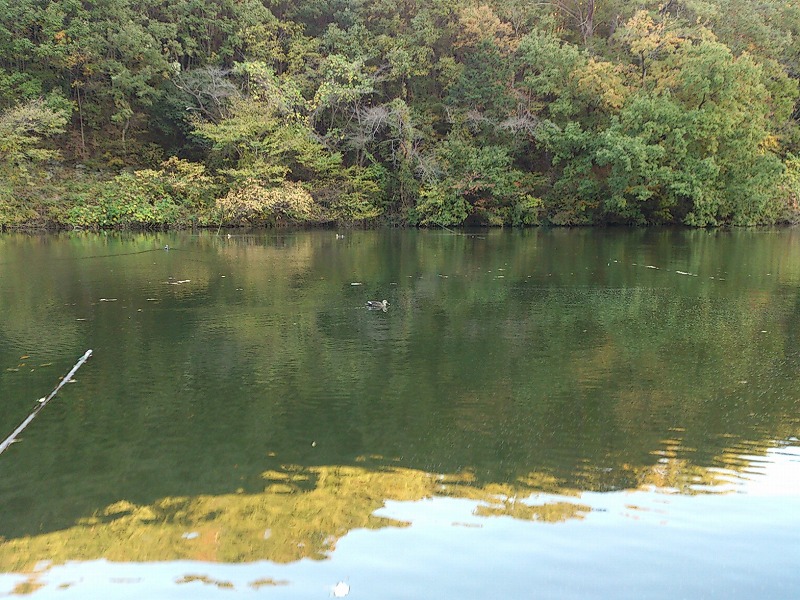 20181117DSC_0046.jpg