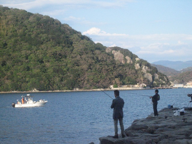 IMG_2729.jpg