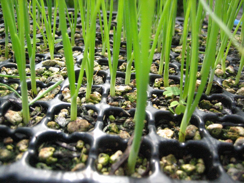 IMG_2771.jpg