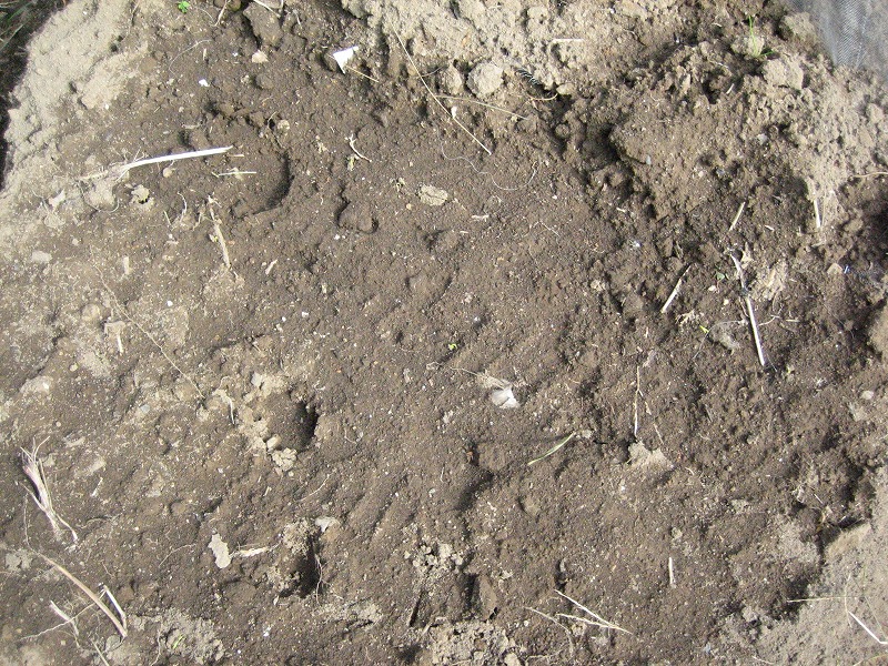 IMG_2778.jpg
