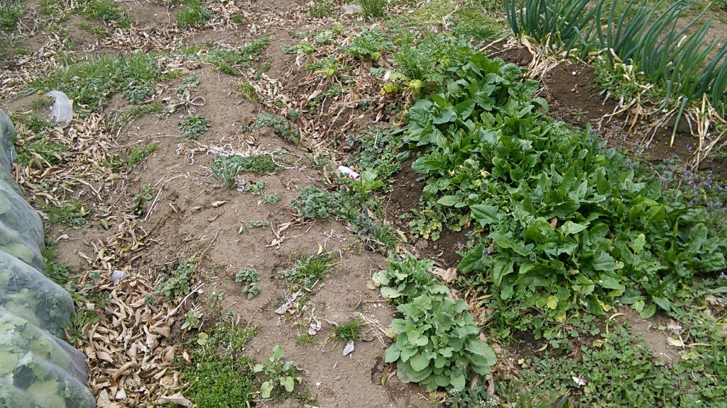 f:id:mouhatarakitakunai:20190316203435j:plain f:id:mouhatarakitakunai:20190316203435j:plain