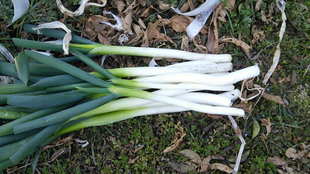 f:id:mouhatarakitakunai:20190316203457j:plain f:id:mouhatarakitakunai:20190316203457j:plain