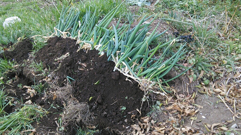 f:id:mouhatarakitakunai:20190316203530j:plain f:id:mouhatarakitakunai:20190316203530j:plain