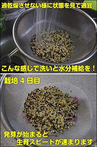 f:id:mouhatarakitakunai:20190419231949j:plain