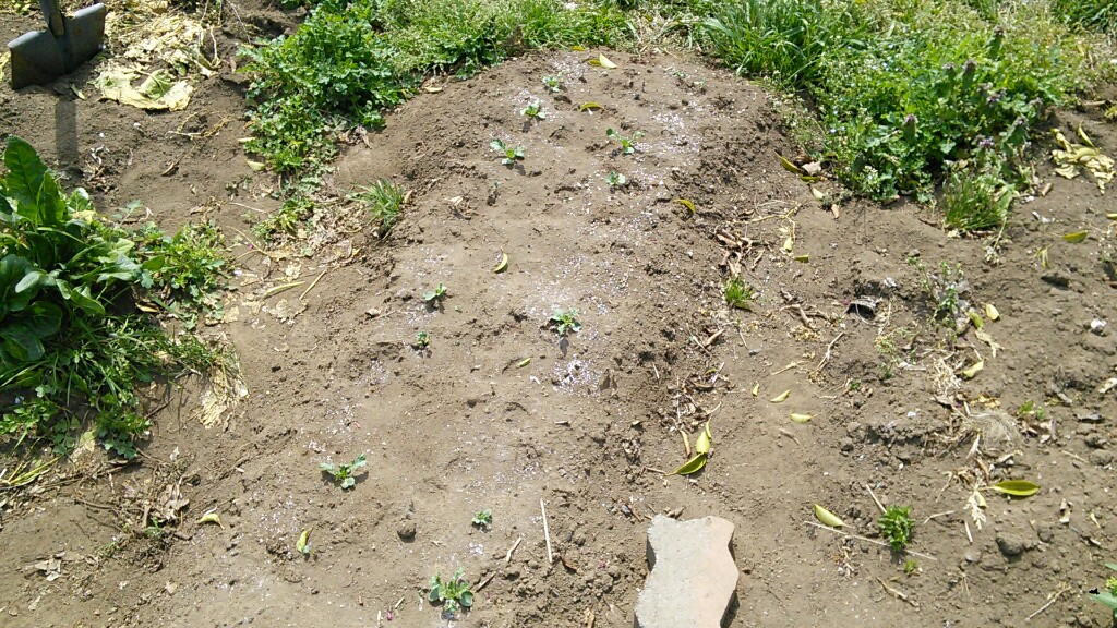 f:id:mouhatarakitakunai:20190420190519j:plain