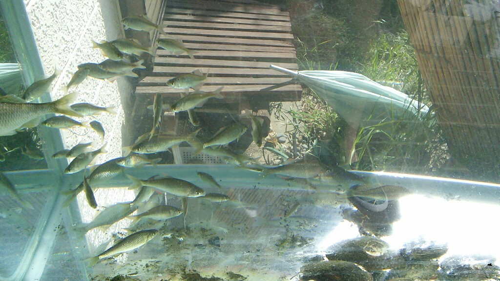 f:id:mouhatarakitakunai:20190429092000j:plain f:id:mouhatarakitakunai:20190429092000j:plain