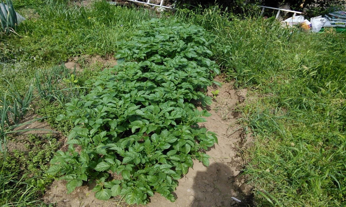 f:id:mouhatarakitakunai:20190505180133j:plain f:id:mouhatarakitakunai:20190505180133j:plain