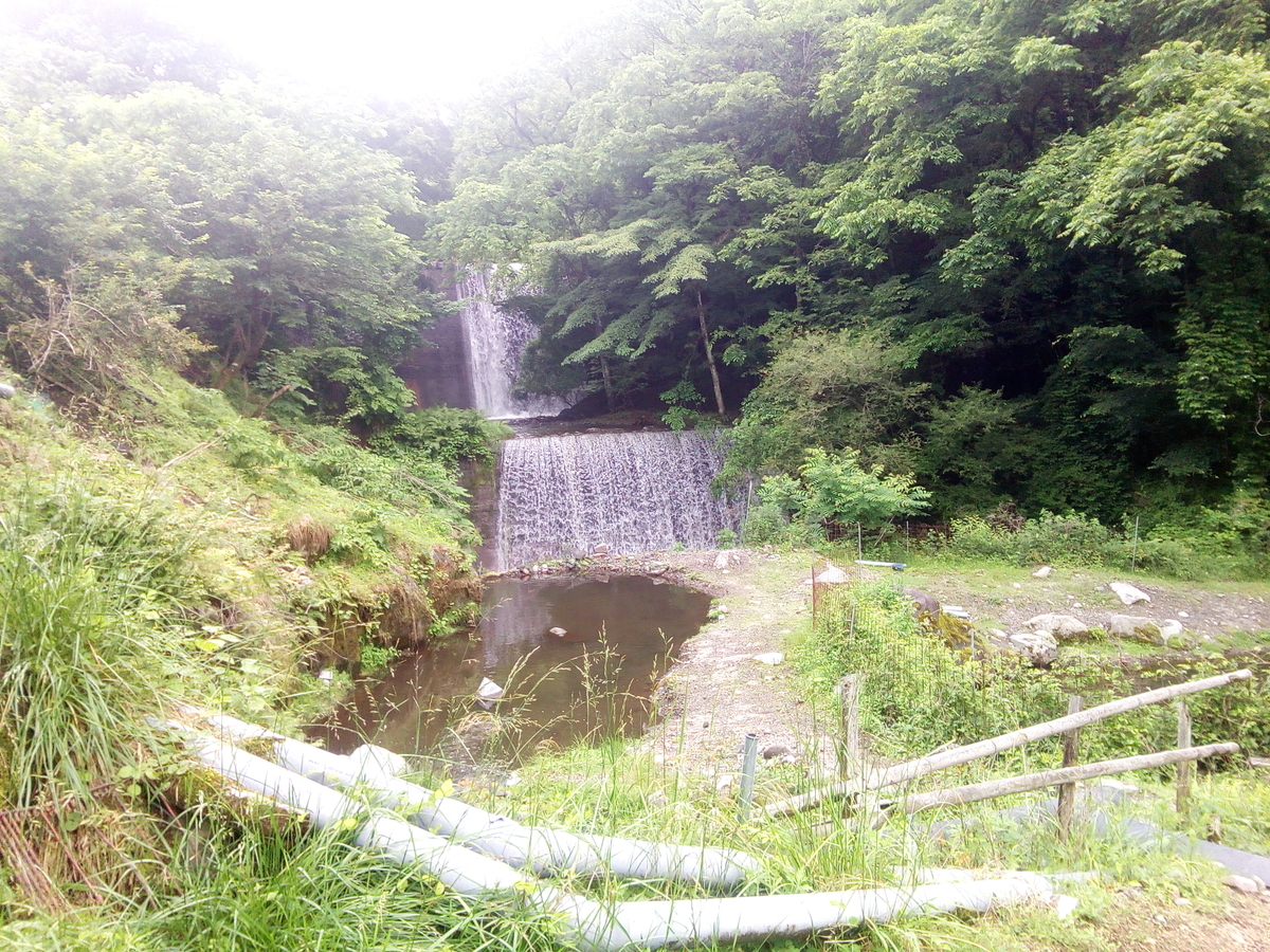 f:id:mouhatarakitakunai:20190623125327j:plain