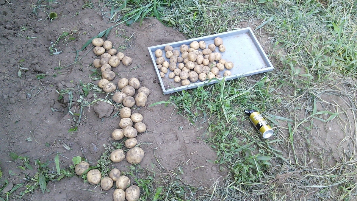 f:id:mouhatarakitakunai:20190812221040j:plain f:id:mouhatarakitakunai:20190812221040j:plain