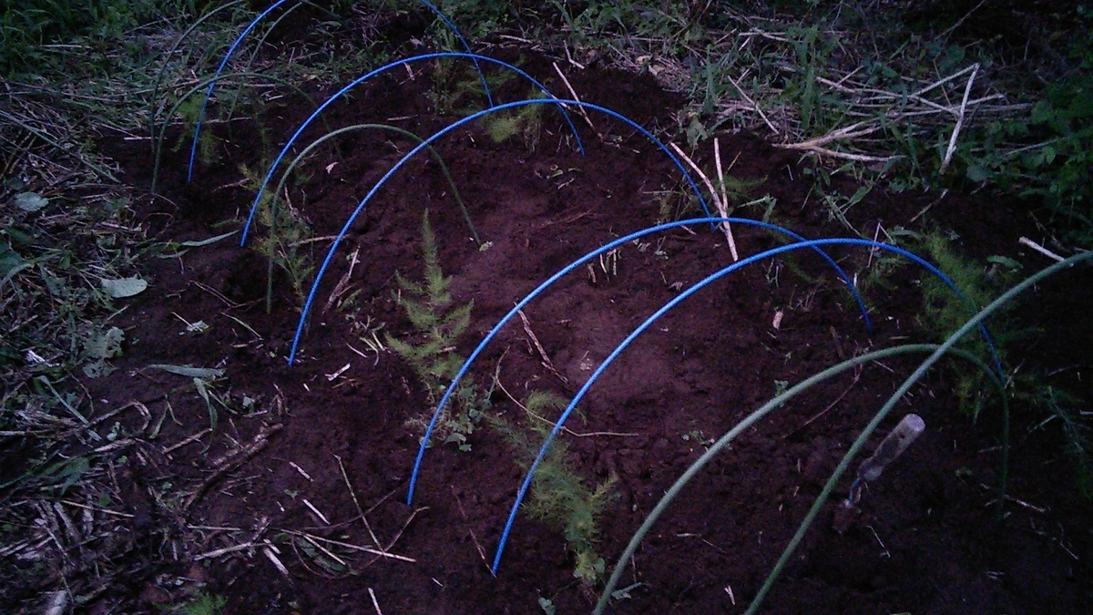 f:id:mouhatarakitakunai:20190816193022j:plain f:id:mouhatarakitakunai:20190816193022j:plain