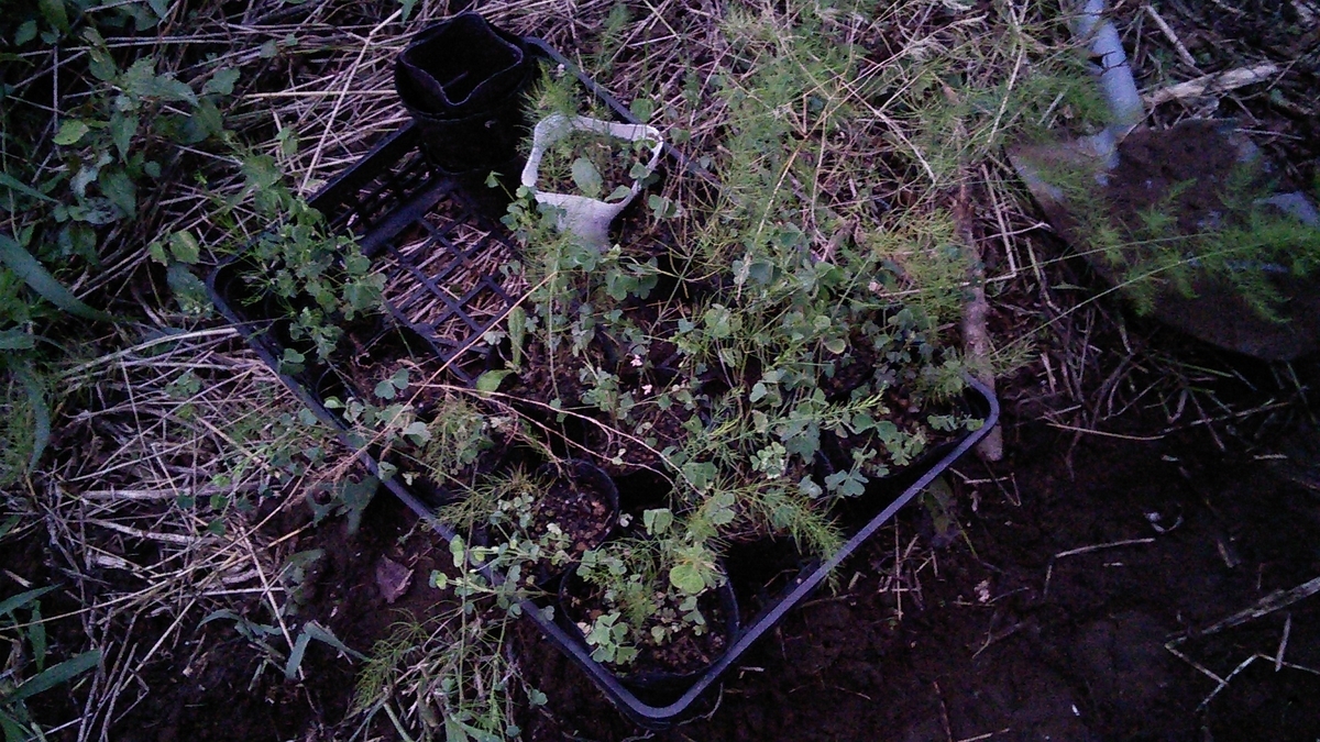 f:id:mouhatarakitakunai:20190816193033j:plain f:id:mouhatarakitakunai:20190816193033j:plain