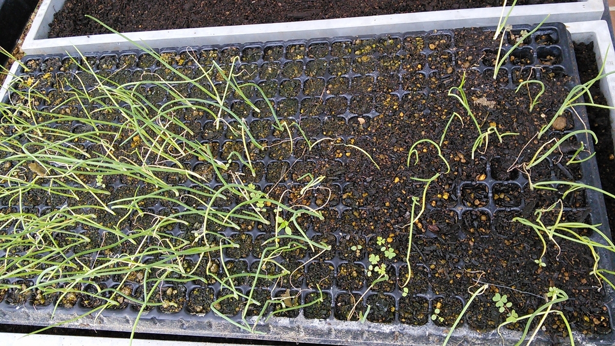 f:id:mouhatarakitakunai:20191014120635j:plain