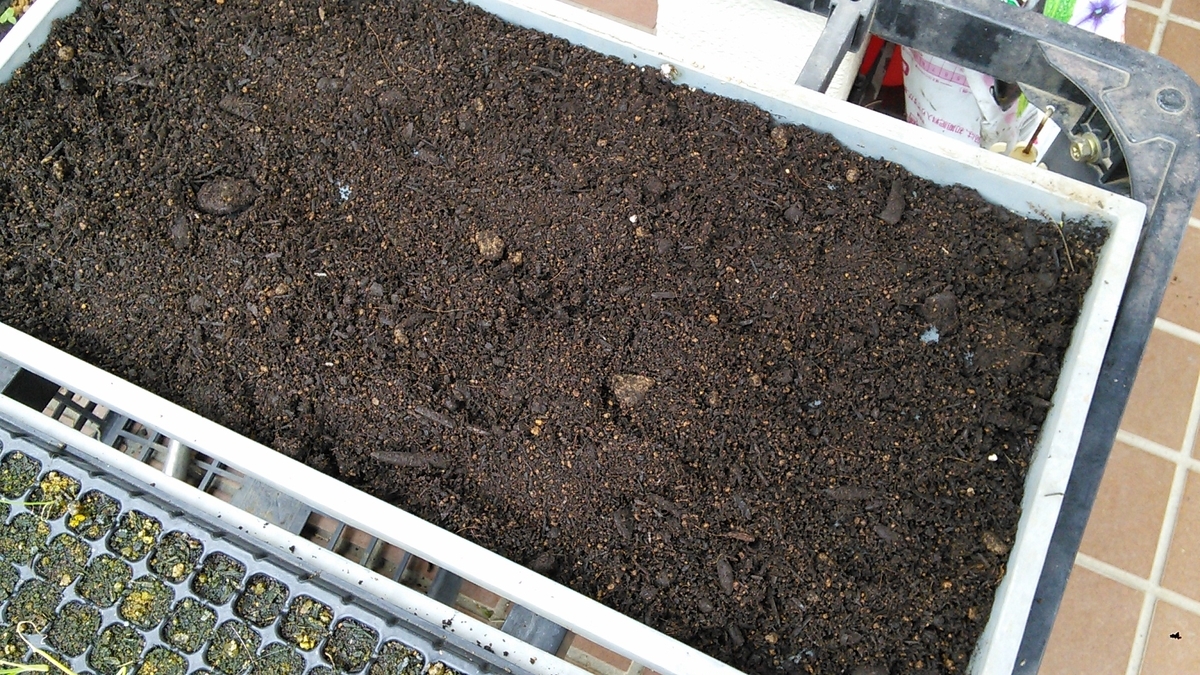 f:id:mouhatarakitakunai:20191014120657j:plain