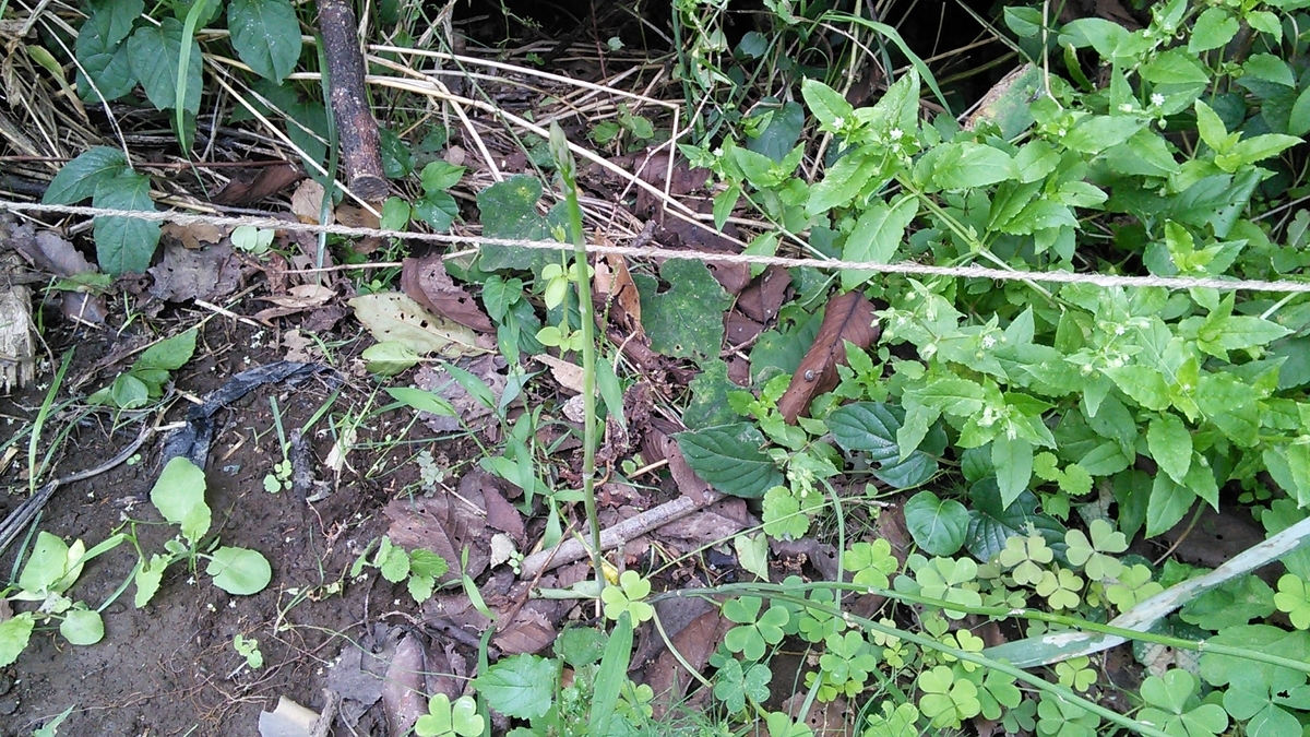 f:id:mouhatarakitakunai:20191014120847j:plain