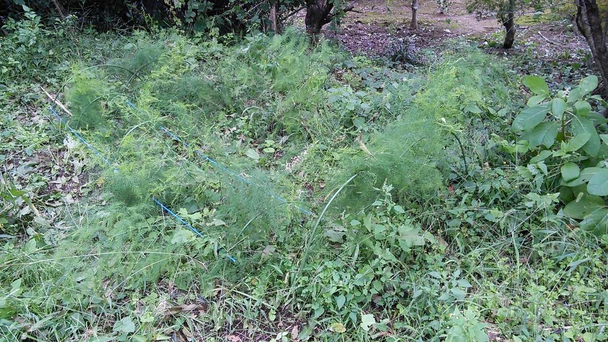 f:id:mouhatarakitakunai:20191014120853j:plain