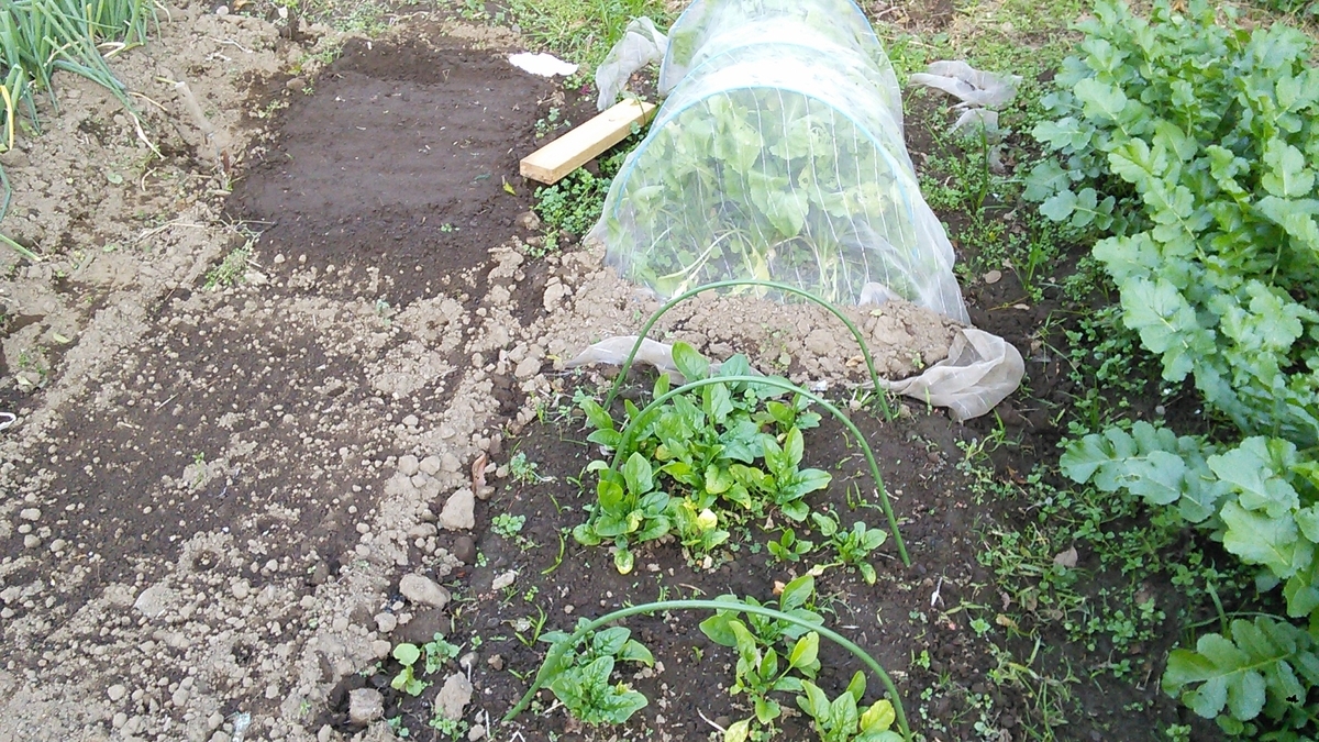 f:id:mouhatarakitakunai:20191116175556j:plain