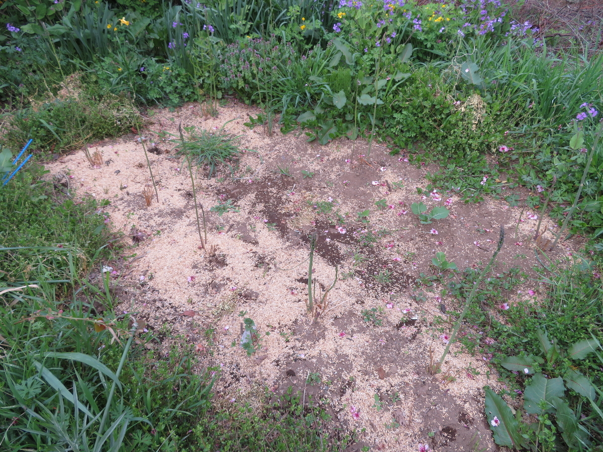 f:id:mouhatarakitakunai:20200419195706j:plain f:id:mouhatarakitakunai:20200419195706j:plain