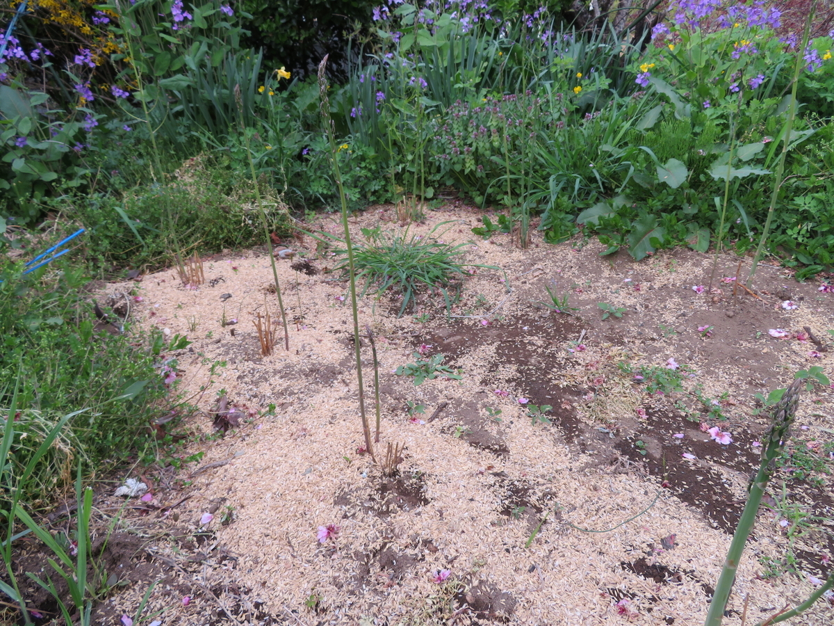 f:id:mouhatarakitakunai:20200419195745j:plain f:id:mouhatarakitakunai:20200419195745j:plain