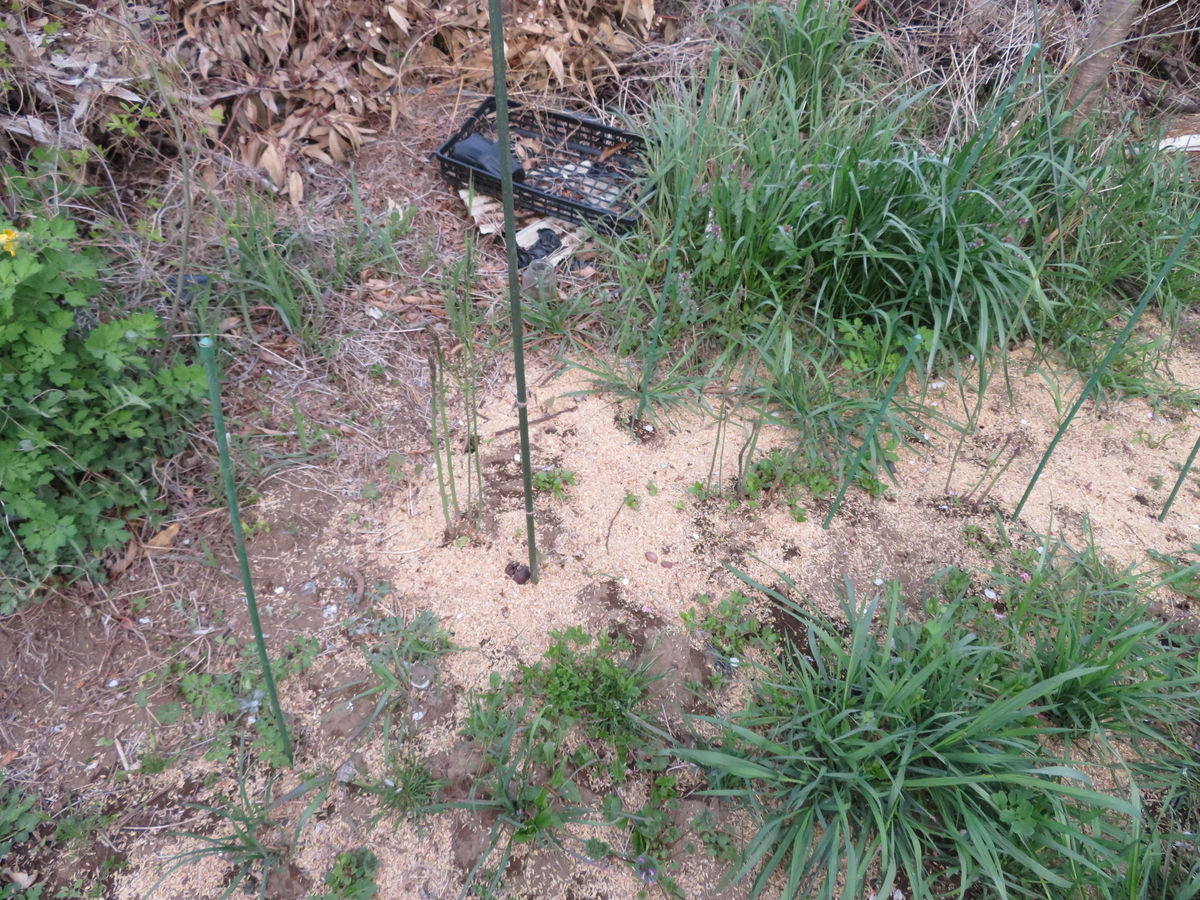 f:id:mouhatarakitakunai:20200419195758j:plain f:id:mouhatarakitakunai:20200419195758j:plain