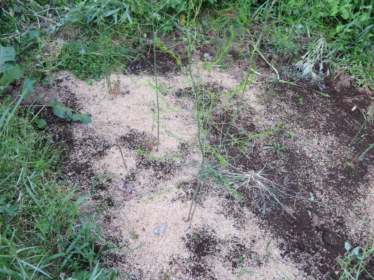 f:id:mouhatarakitakunai:20200426171210j:plain f:id:mouhatarakitakunai:20200426171210j:plain