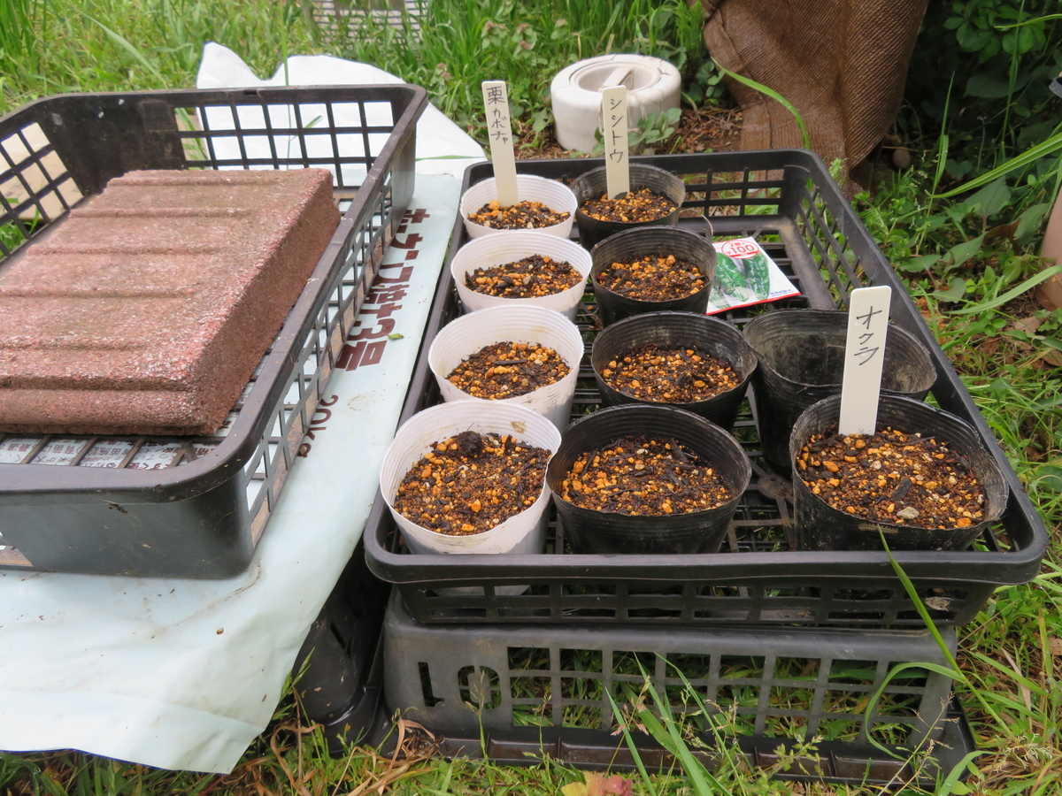 f:id:mouhatarakitakunai:20200426181850j:plain f:id:mouhatarakitakunai:20200426181850j:plain