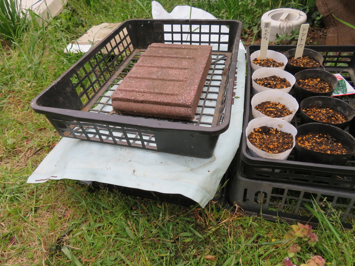 f:id:mouhatarakitakunai:20200426181906j:plain f:id:mouhatarakitakunai:20200426181906j:plain