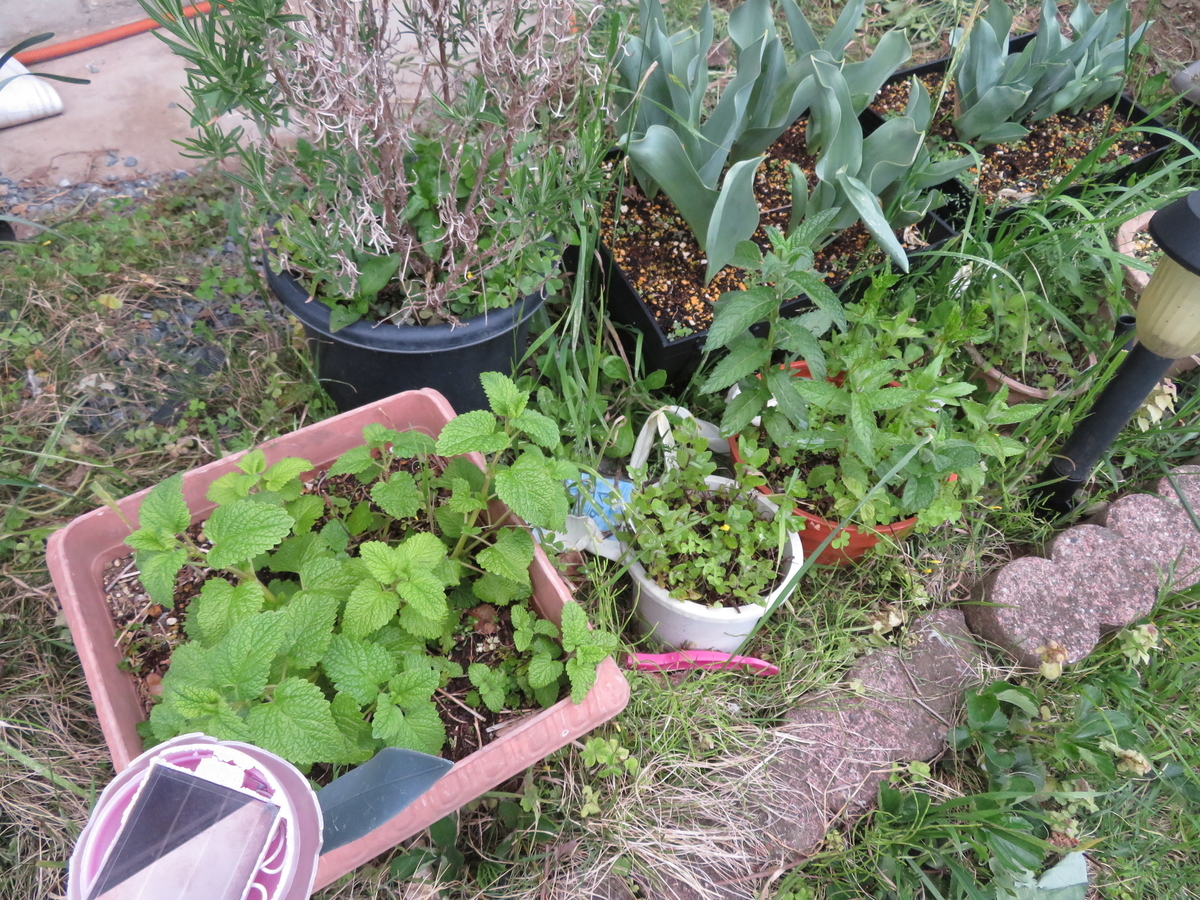 f:id:mouhatarakitakunai:20200426181940j:plain f:id:mouhatarakitakunai:20200426181940j:plain