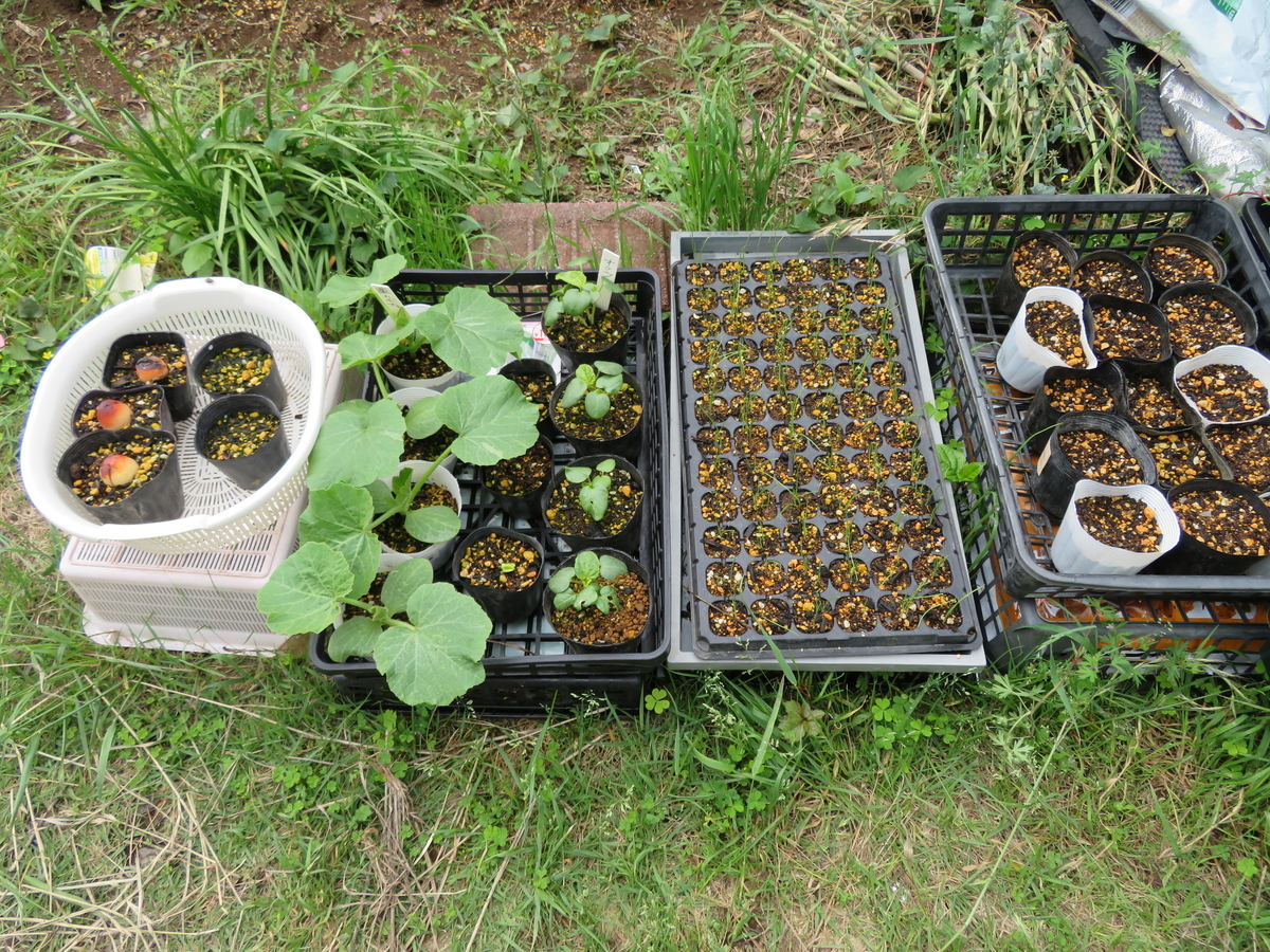 f:id:mouhatarakitakunai:20200523113239j:plain f:id:mouhatarakitakunai:20200523113239j:plain