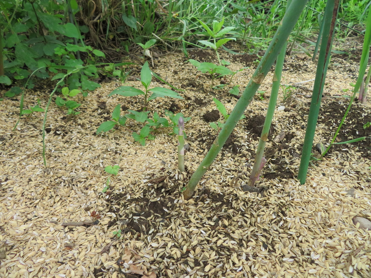 f:id:mouhatarakitakunai:20200523113557j:plain f:id:mouhatarakitakunai:20200523113557j:plain