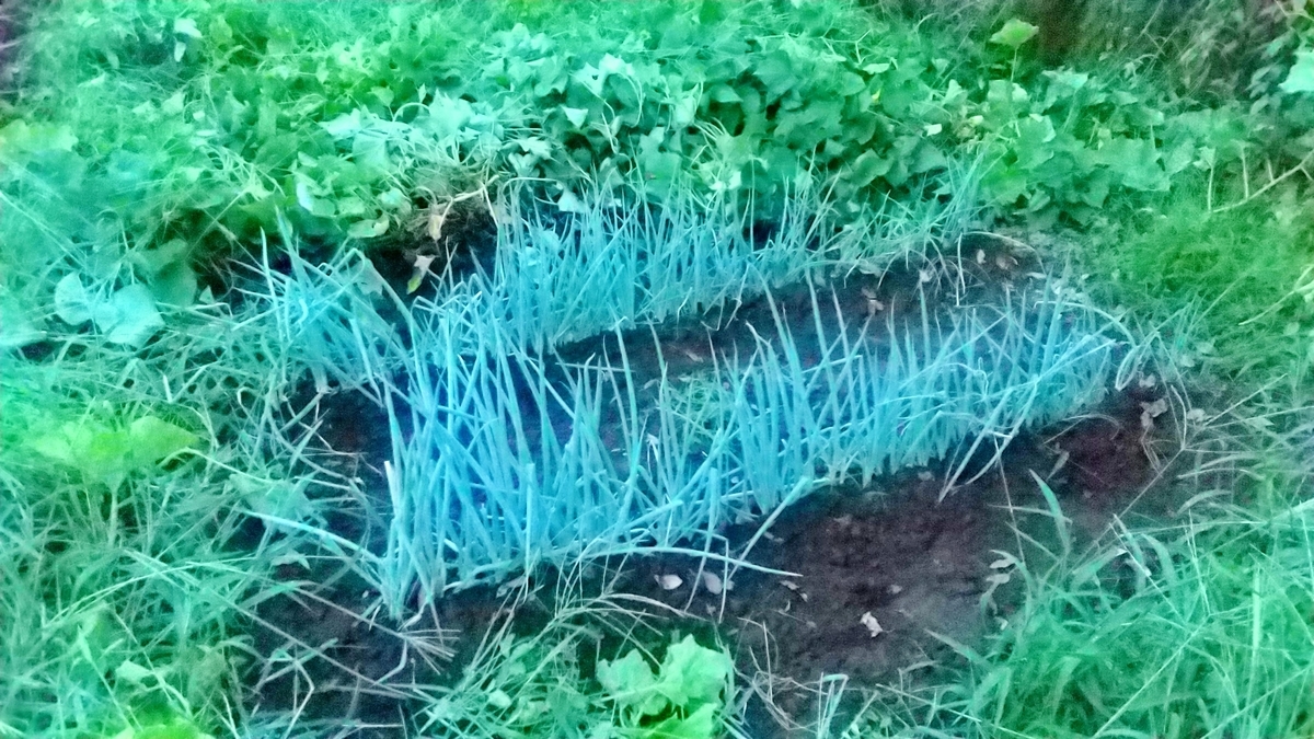 f:id:mouhatarakitakunai:20200903190408j:plain f:id:mouhatarakitakunai:20200903190408j:plain