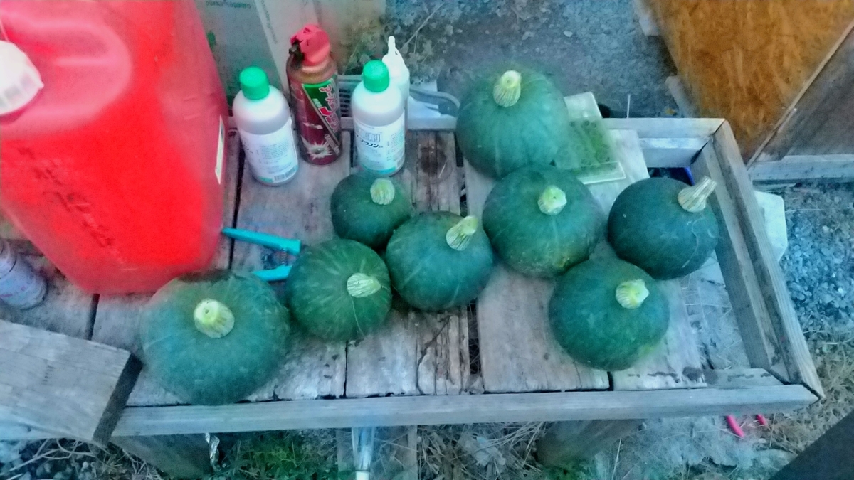 f:id:mouhatarakitakunai:20200903190426j:plain f:id:mouhatarakitakunai:20200903190426j:plain