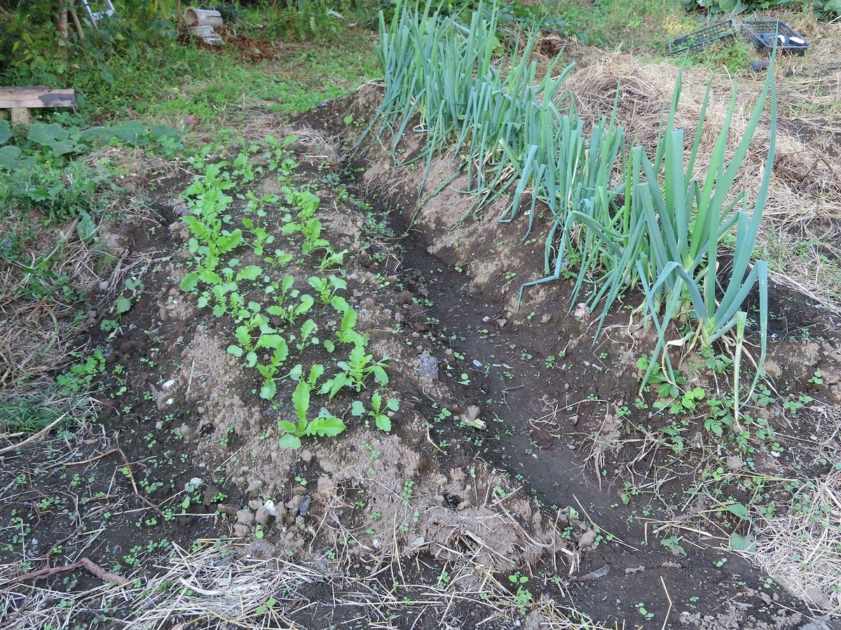 f:id:mouhatarakitakunai:20201024194958j:plain f:id:mouhatarakitakunai:20201024194958j:plain