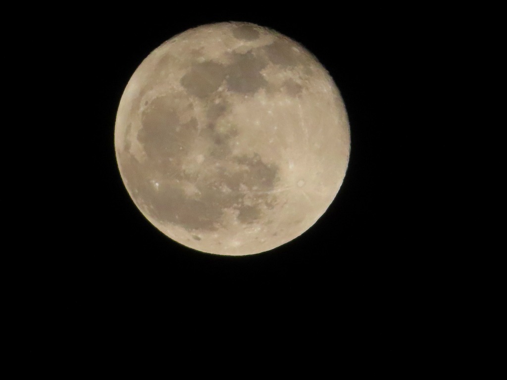f:id:mouhatarakitakunai:20201201221102j:plain