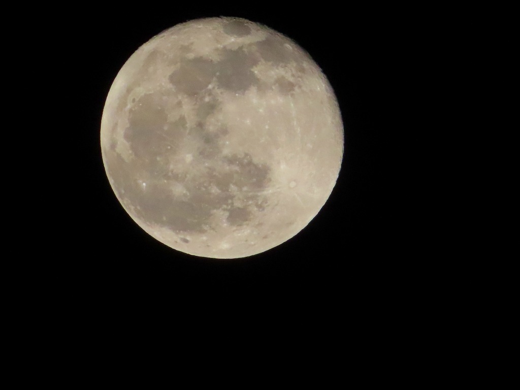 f:id:mouhatarakitakunai:20201201221105j:plain