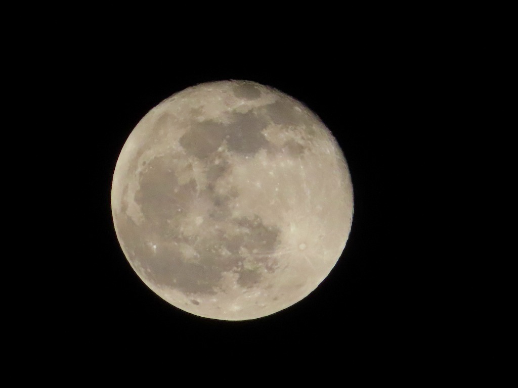 f:id:mouhatarakitakunai:20201201221114j:plain
