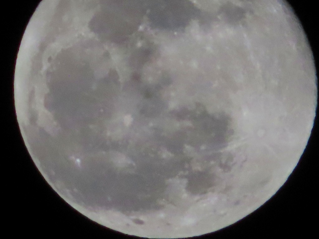 f:id:mouhatarakitakunai:20201201221123j:plain