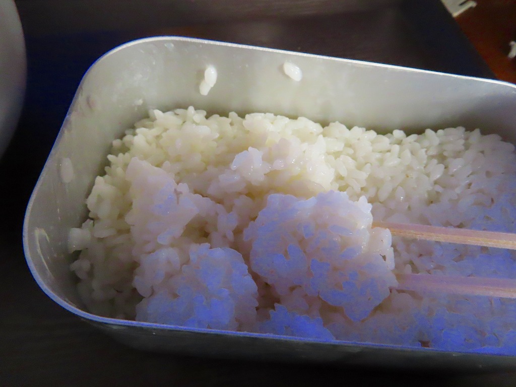 f:id:mouhatarakitakunai:20201213185936j:plain